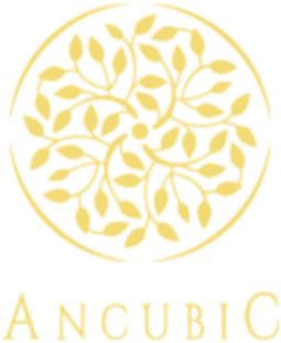 Ancubic